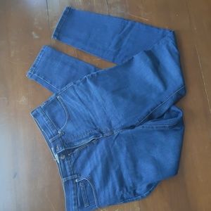 Everlane High Rise Blue Jeans (size 29 tall)